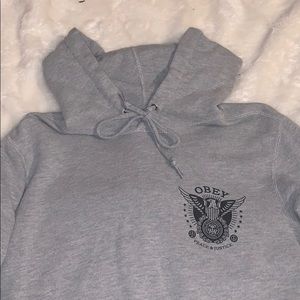 Gray Obey Hoodie